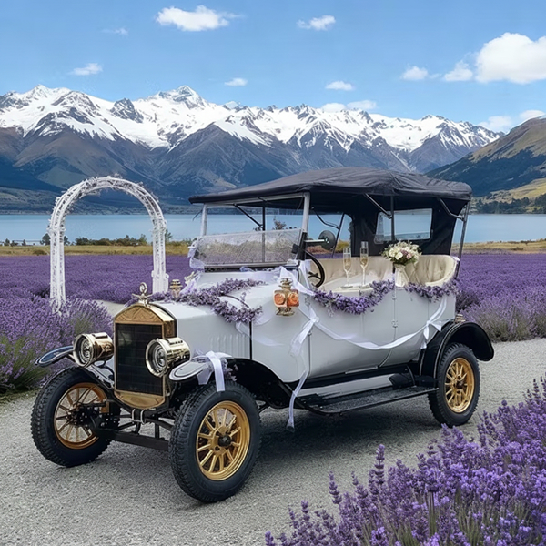 image 53 Antique Five Person Passenger Sightseeing Golf Cart