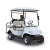 Yatian GQ04C Electric Golf Cart for Golf Courses