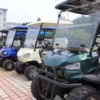 Yatian GQ04D Electric Golf Cart for Golf Courses and Recreational Areas