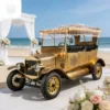 zhongxinzaialifachanpindebiaoti-800-800 Yatian Manufacturer LY05N: The Perfect Choice for Weddings, Celebrations, And City Tours in A Vintage Classic Car