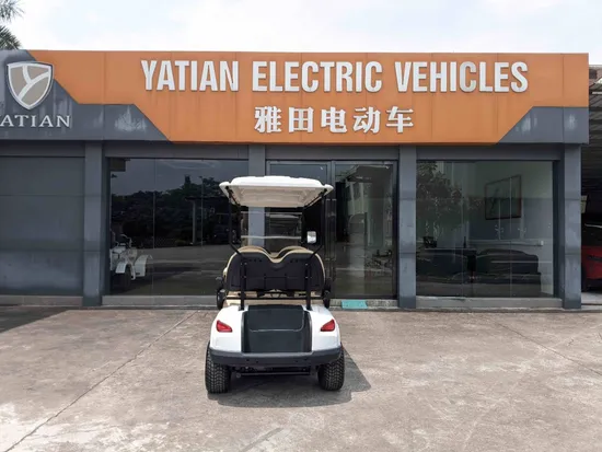 4 Person Golf Cart with LED Headlight