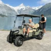 4-Seater-Electric-Golf-Buggy-Utility-Sightseeing-Cart (5) 4-Seater Electric Golf Buggy Utility Sightseeing Cart