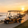4 Seats New Black Electric Golf Cart for Europe