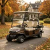 4 Seats New Black Electric Golf Cart for Europe