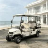 4 Seats New Black Electric Golf Cart for Europe