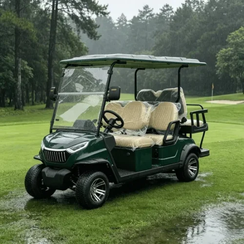 4 Seats New Black Electric Golf Cart for Europe