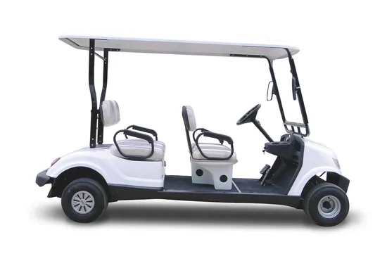 48V Multi Passenger Electric Golf Buggy