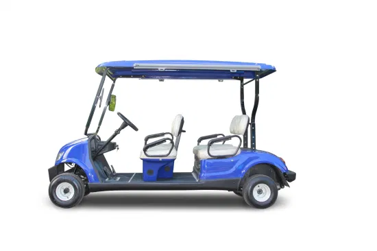 48V Multi Passenger Electric Golf Buggy
