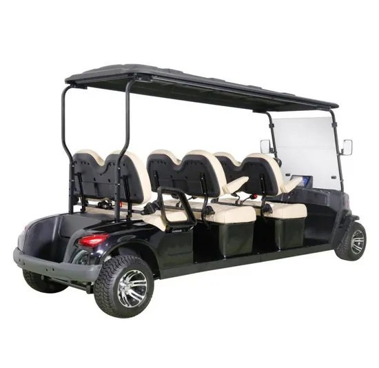 Airport Passenger Transport 48V Electric Vehicle Used to Sightsee Car