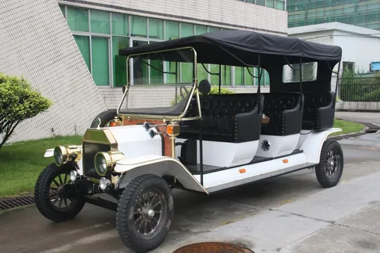 Ce Certificated Neighborhood Electric Vehicle 8 Seat Touring Car