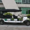 Ce Certificated Neighborhood Electric Vehicle 8 Seat Touring Car
