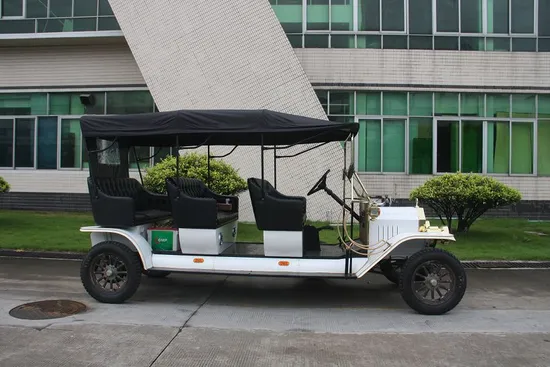 Ce Certificated Neighborhood Electric Vehicle 8 Seat Touring Car