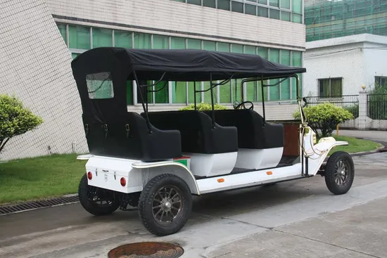 Ce Certificated Neighborhood Electric Vehicle 8 Seat Touring Car