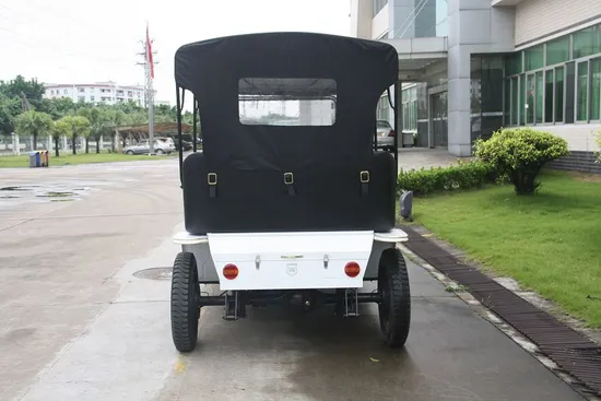 Ce Certificated Neighborhood Electric Vehicle 8 Seat Touring Car