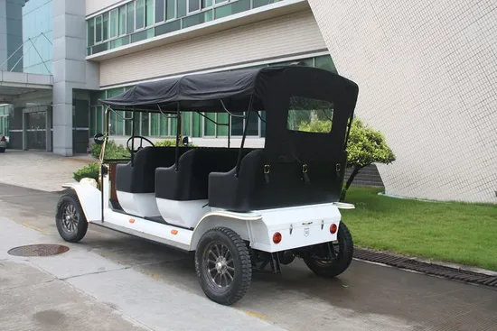 Ce Certificated Neighborhood Electric Vehicle 8 Seat Touring Car