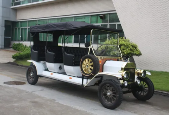 Ce Certificated Neighborhood Electric Vehicle 8 Seat Touring Car