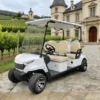 Customizable-Electric-Golf-Carts-for-Tourists-Direct-Factory-Sale (2) Customizable Electric Golf Carts for Tourists - Direct Factory Sale