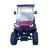 Electric Golf Buggy for 4 Passengers - Ideal Sightseeing Bus
