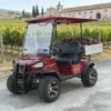 Electric Golf Cart 2 Seater off Road Hunting Utility Golf Buggy
