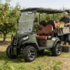 Electric Golf Cart 2 Seater off Road Hunting Utility Golf Buggy