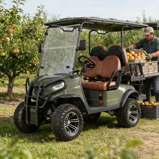 Electric Golf Cart 2 Seater off Road Hunting Utility Golf Buggy