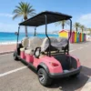 Elegant 4 Wheel Smart Golf Cart for Efficient Transportation