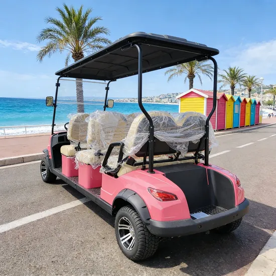 Elegant 4 Wheel Smart Golf Cart for Efficient Transportation