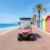Elegant 4 Wheel Smart Golf Cart for Efficient Transportation