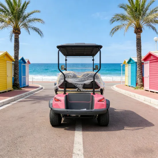 Elegant 4 Wheel Smart Golf Cart for Efficient Transportation