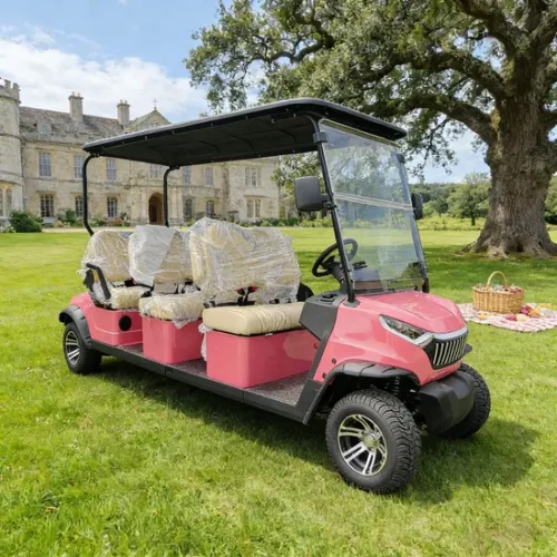 Elegant 48V Electric Golf Cart for Stylish Outdoor Adventures