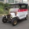 Fashion Design Luxury 48V Electric Car Utility Vehicle
