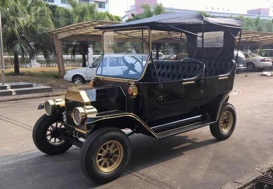 Fashion Design Luxury 48V Electric Car Utility Vehicle