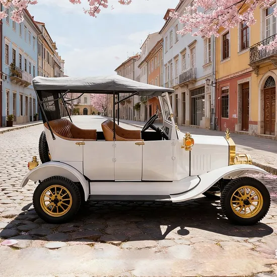 Ford T Classic Electric Car Golf Buggy with EEC Certificates