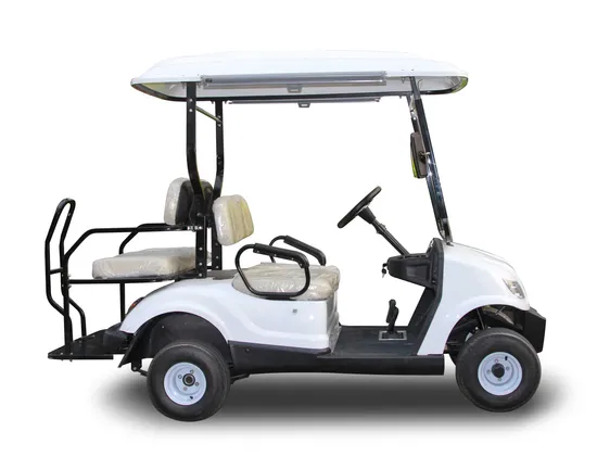 Four Passengers Standard Electric Car Golf Course
