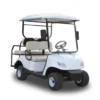 Four Passengers Standard Electric Car Golf Course