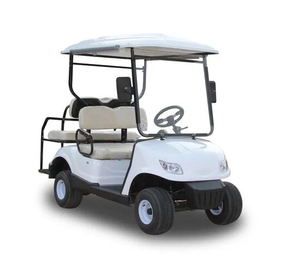 Four Passengers Standard Electric Car Golf Course