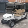 High-Speed 48V Electric Golf Cart for Effortless Travel