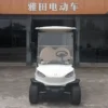 High-Speed 48V Electric Golf Cart for Effortless Travel