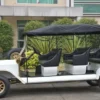 New Inpower Controller 8 Person Antique Car Golf Vehicle