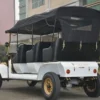 New Inpower Controller 8 Person Antique Car Golf Vehicle