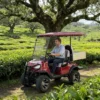 Powerful 5kw Electric Golf Cart with 2+2 Seating Capacity
