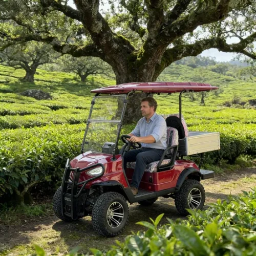 Powerful 5kw Electric Golf Cart with 2+2 Seating Capacity