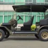 Premium 5 Passenger Electric Classic Car for Hotels