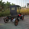 Sightseeing Customized 2 Seats Electrical Vintage Car