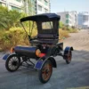 Sightseeing Customized 2 Seats Electrical Vintage Car