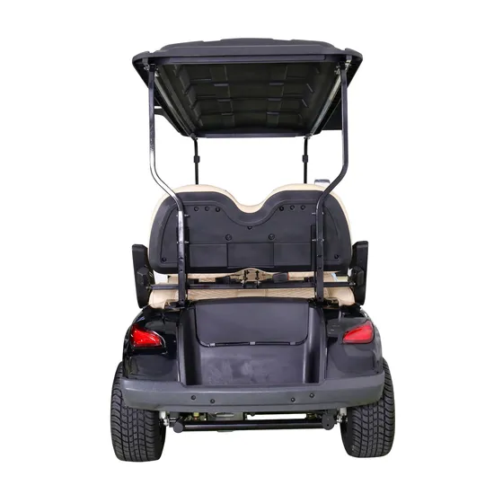 Stylish Mini Golf Cart for 4 Passengers with Windshield