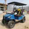 Stylish-Two-Seater-Golf-Cart-with-Air-Conditioning-for-Sale (2) Stylish Two-Seater Golf Cart with Air Conditioning for Sale