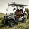Stylish-Two-Seater-Golf-Cart-with-Air-Conditioning-for-Sale (3) Stylish Two-Seater Golf Cart with Air Conditioning for Sale
