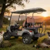 Stylish-Two-Seater-Golf-Cart-with-Air-Conditioning-for-Sale (5) Stylish Two-Seater Golf Cart with Air Conditioning for Sale