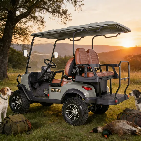 Stylish-Two-Seater-Golf-Cart-with-Air-Conditioning-for-Sale (5) Stylish Two-Seater Golf Cart with Air Conditioning for Sale